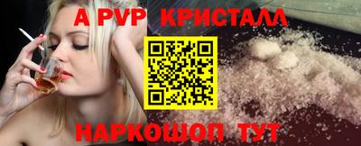 бошки Кингисепп