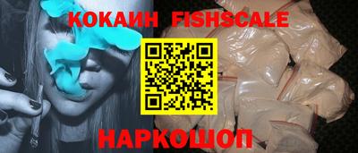 бошки Кингисепп