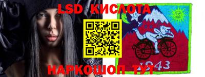 бошки Кингисепп
