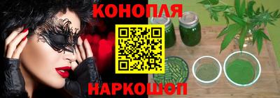 бошки Кингисепп