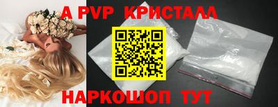 бошки Кингисепп