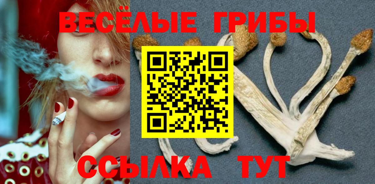 Галлюциногенные грибы прущие грибы Армавир
